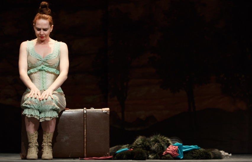 Шведская спичка